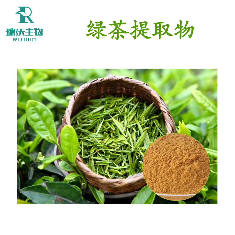 綠茶提取物