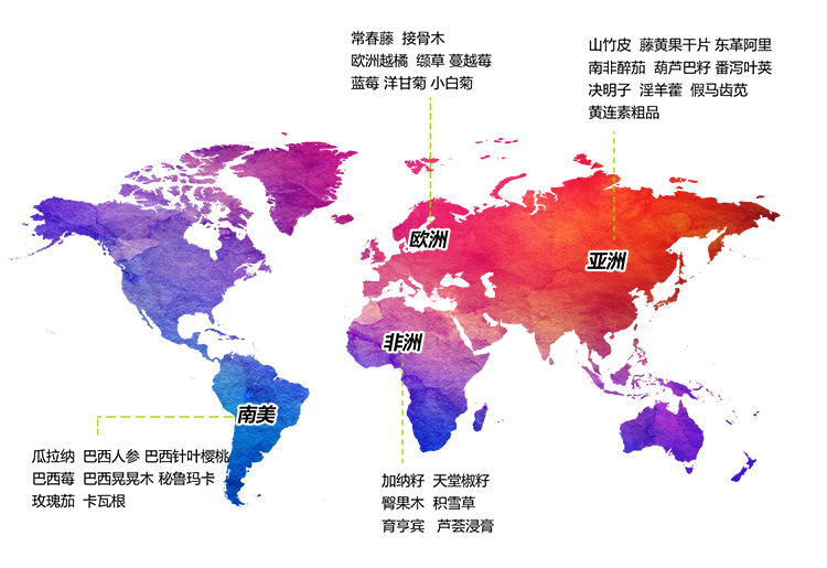 原料全球采購體系